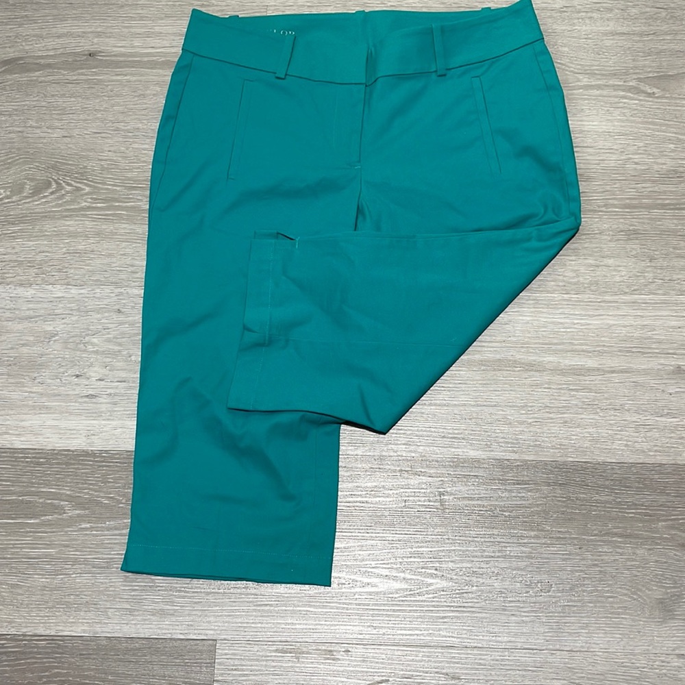 ANN TAYLOR